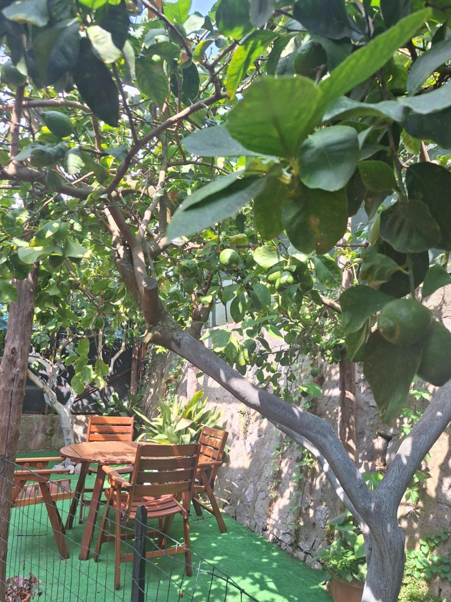 Grazia'S Home 圣安吉洛 外观 照片